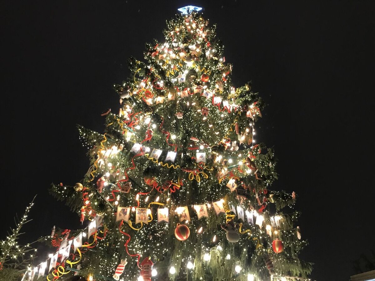 Картинка из источник в свободном доступе.