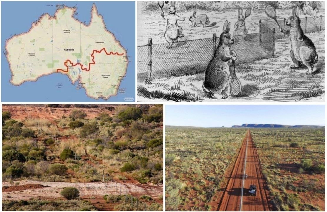 Стена в австралии что за ней. Стена в австралии что за ней. Забор от кроликов в австралии. Собачий забор в австралии. Забор от собак динго в австралии.