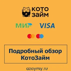 Подробный обзор Котозайм