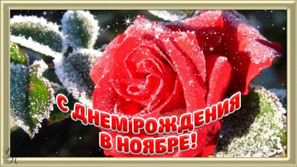 Поздравления