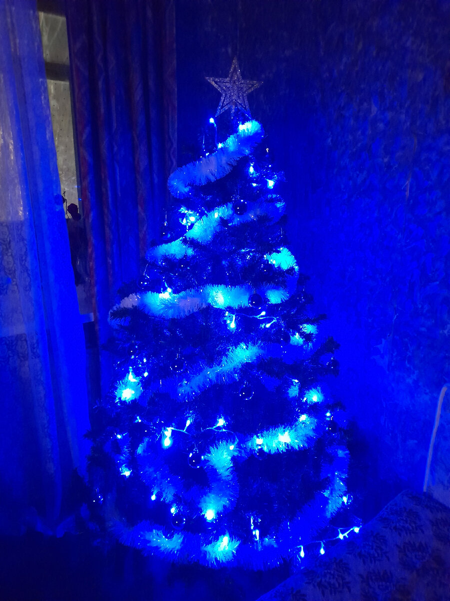 Фото автора.