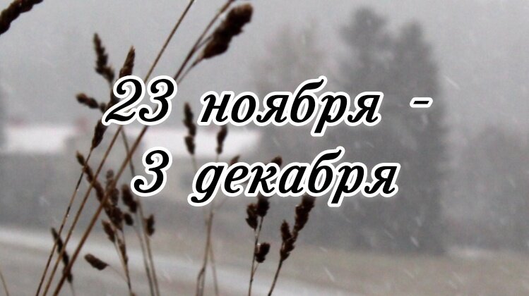 РАК Сейчас может повыситься конкуренция, вам потребуется отстоять свою точку зрения. Возможны споры, мелкие разборки, взаимное недопонимание и несогласие   СКОРПИОН  Ваша прозорливость вас не подведёт.