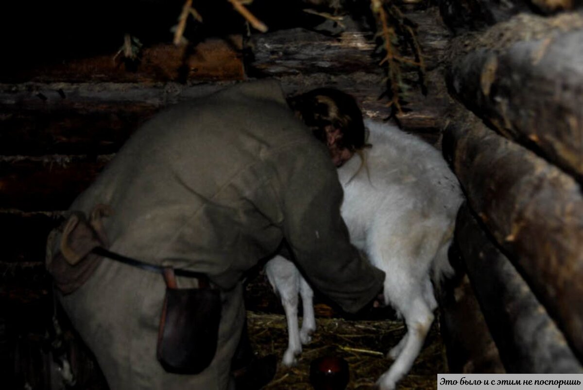 Павел Сапожников: эксперимент на хуторе, попавшем в прошлое. Источник  https://clck.ru/36WBJZ 