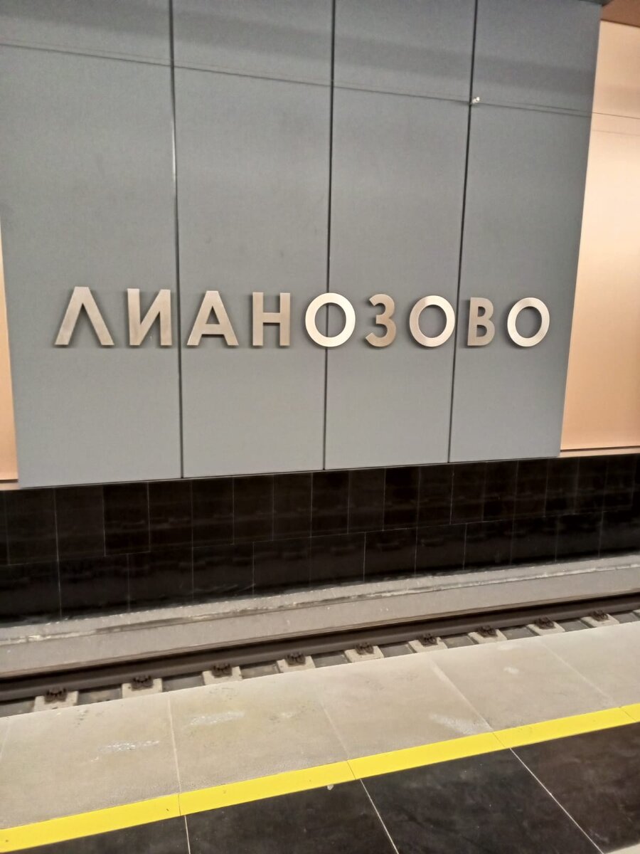 Фото. Станция Московского метро «Лианозово».