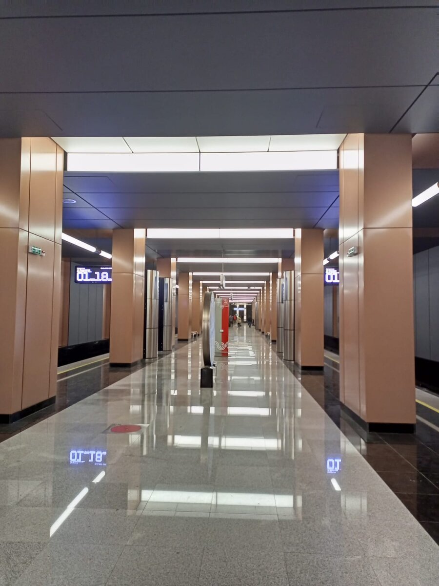 Фото. Станция Московского метро «Лианозово».