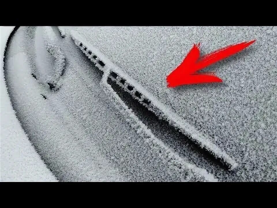 Фото из открытого источника. 