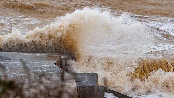    © РИА Новости Крым . Дмитрий Макеев
