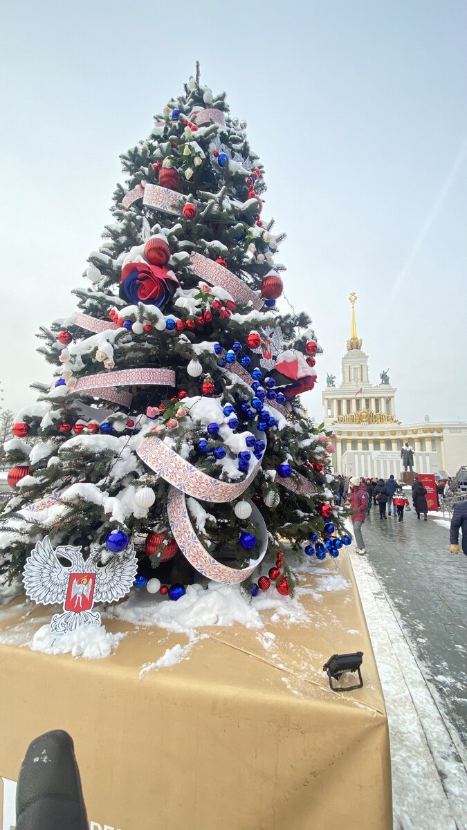 Донецкая область