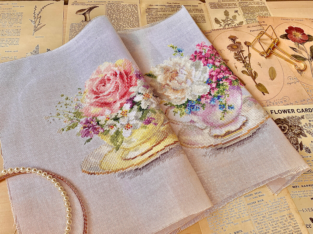 Мой финиш Алиса "Чашечки"