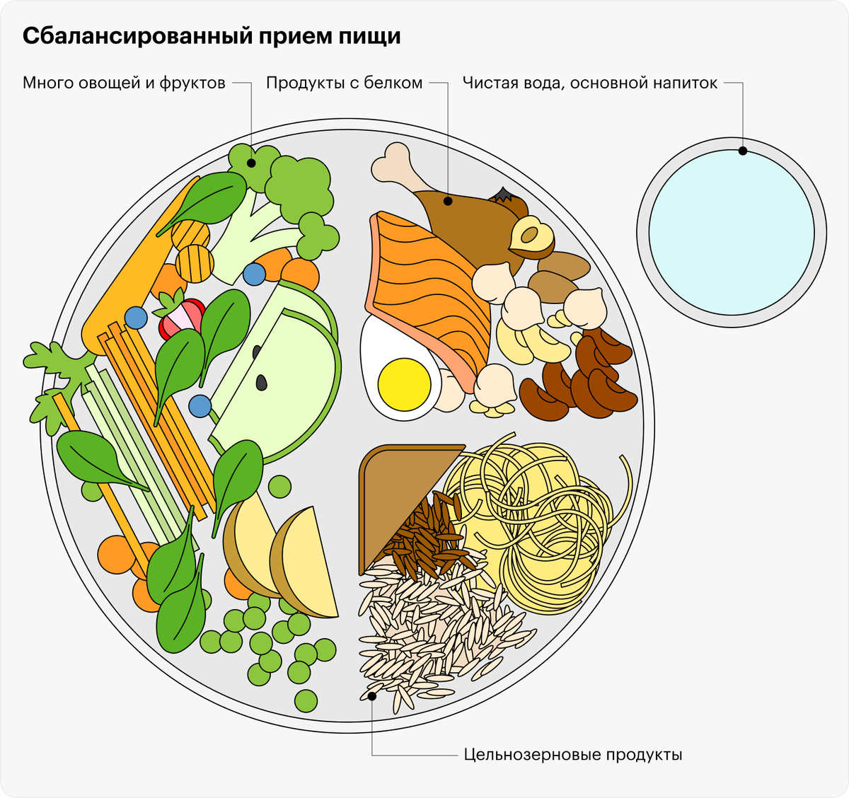 Принцип правильной тарелки. Тарелка здорового питания. Принцип здоровой тарелки. Тарелка правильного питания рисунок. Тарелка сбалансированного питания.