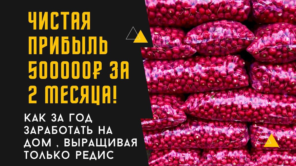 Бизнес на производстве редиса пошагово.
