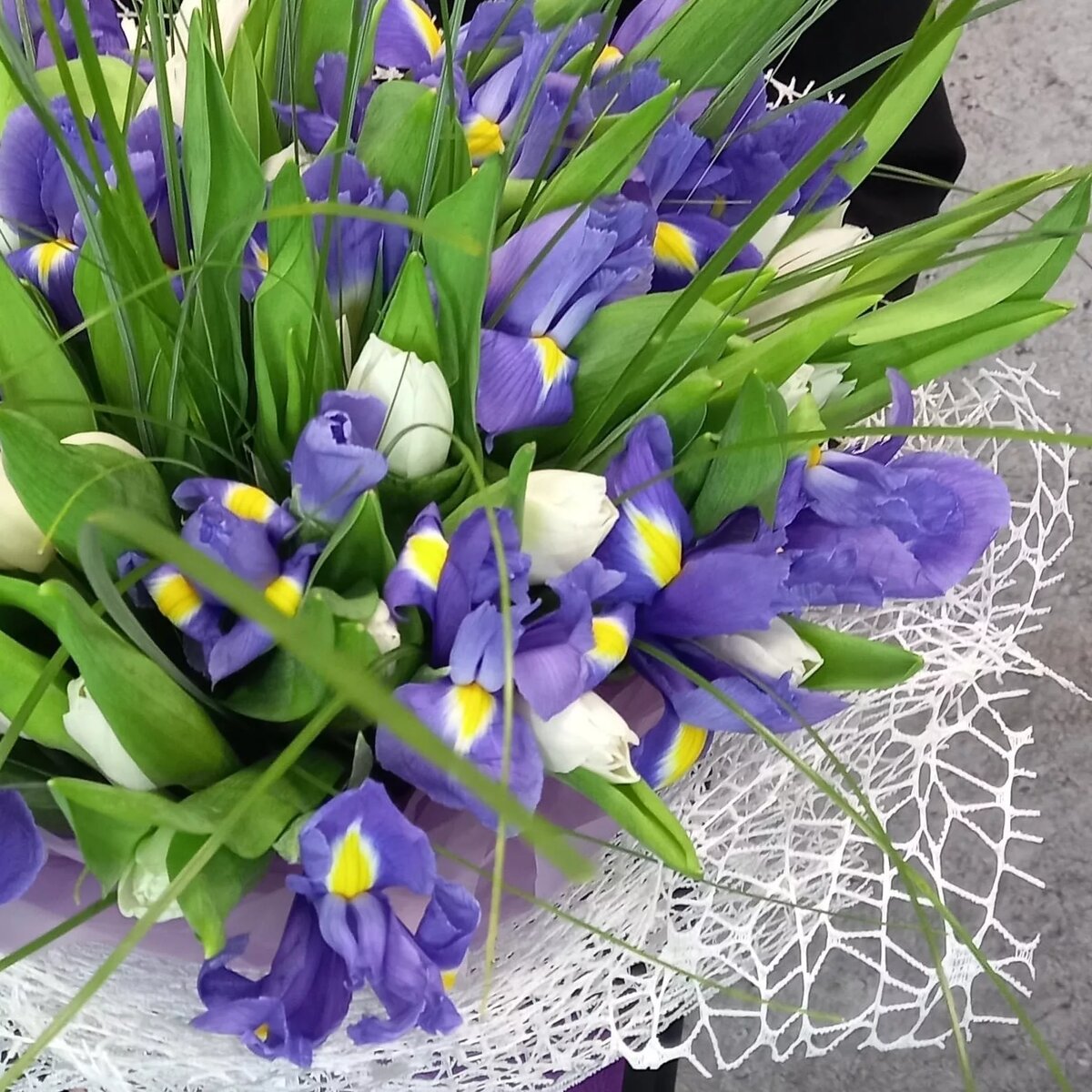 Яндекс картинки