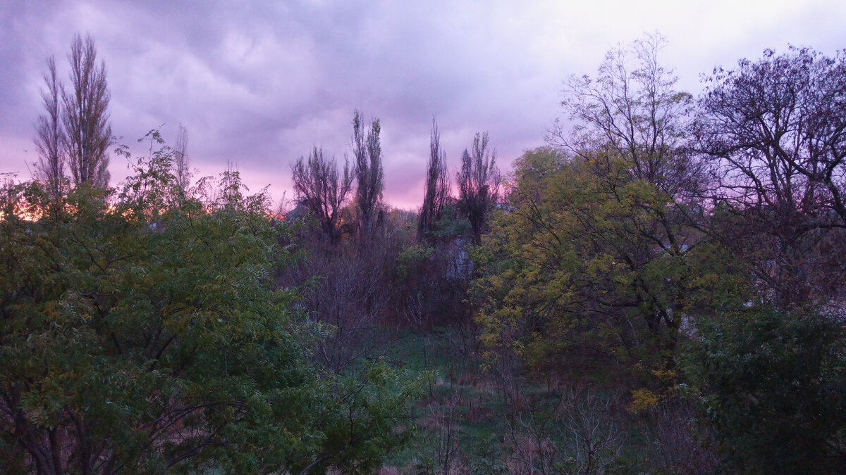 За день до урагана. Вид окна...