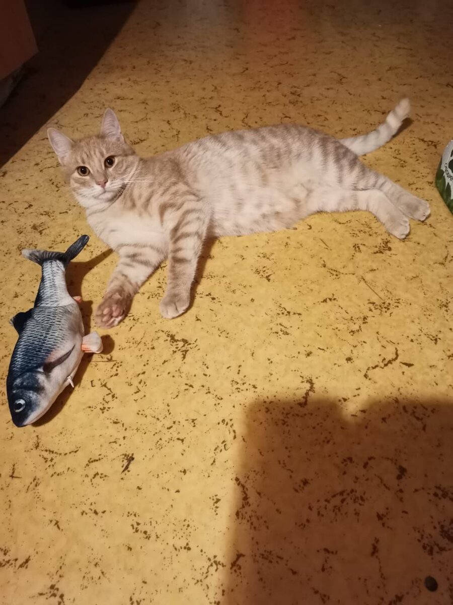 Мне тут рыбов не только показывают!