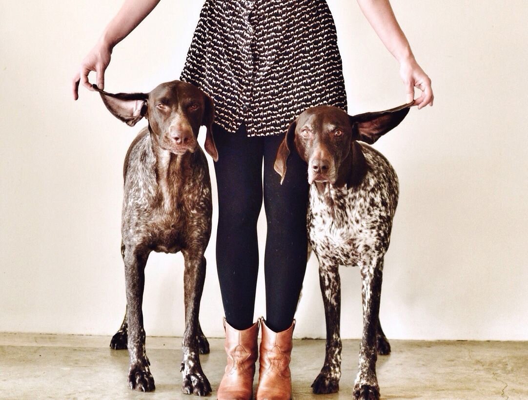 Брюссельский гриффон - миниатюрный аристократ с долей комической неловкости