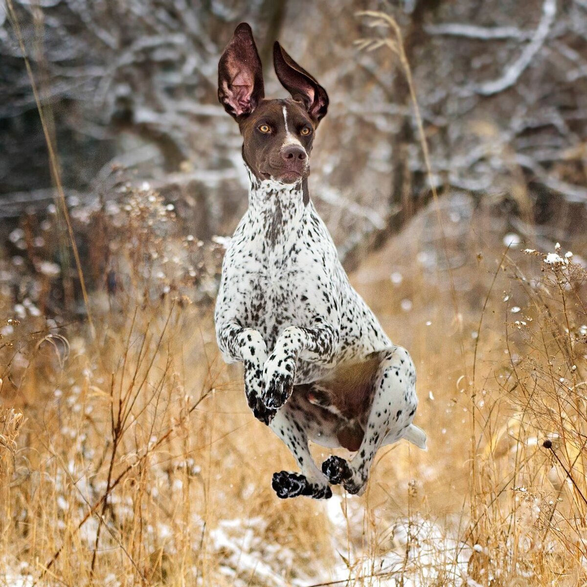 Уход и здоровье