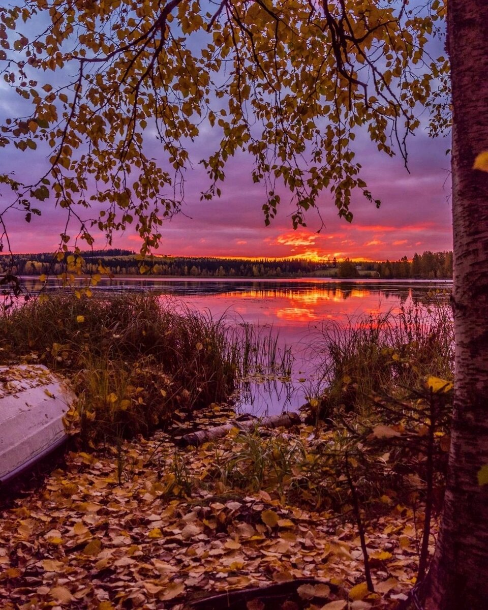 С интернета, закат красивый 😍