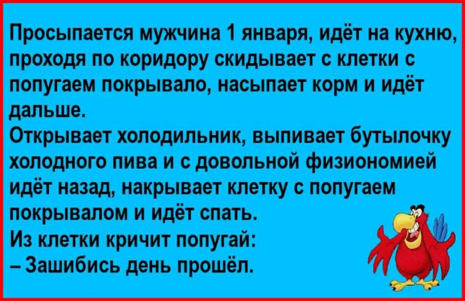 Проснется через 1 1. Анекдот про попугая. Анекдоты с попугаем. Анекдот про попугая и мужика. Анекдоты про попугая смешные.