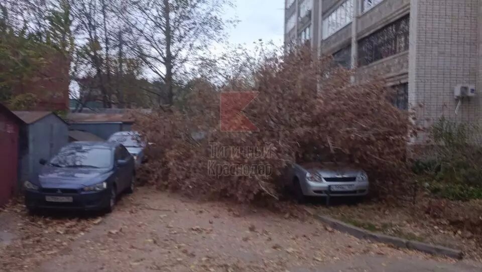 Фото: Типичный Краснодар