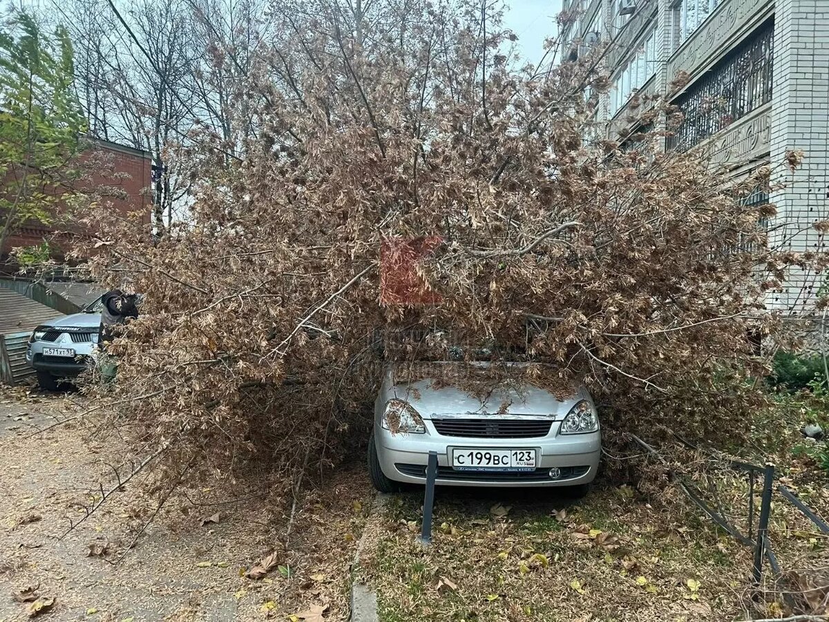 -2-3