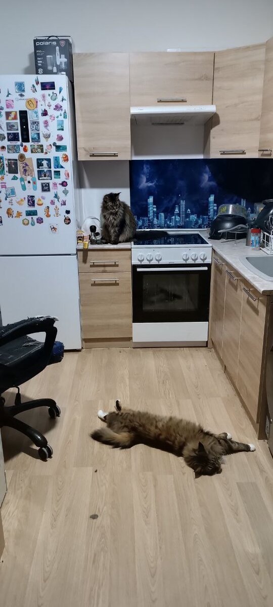 Вот сюда от противной сбежала я!