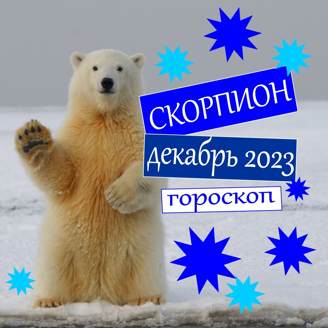 Скорпион. Гороскоп на декабрь 2023: деньги, любовь, работа, здоровье |  Гороскопы от Астролога | Дзен