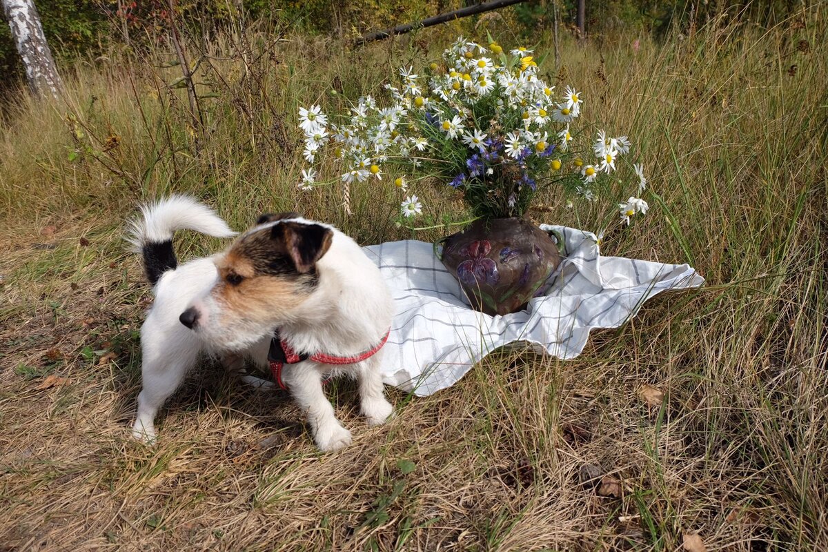 А это Каринка передает вам привет!