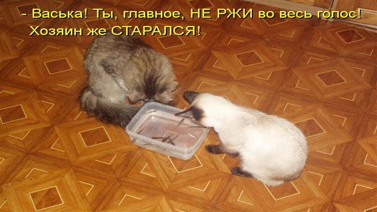 источник Яндекс-картинки