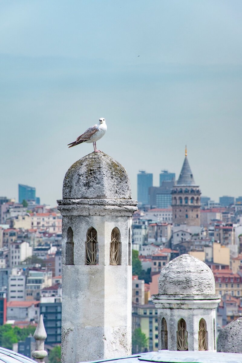 Фотография автора