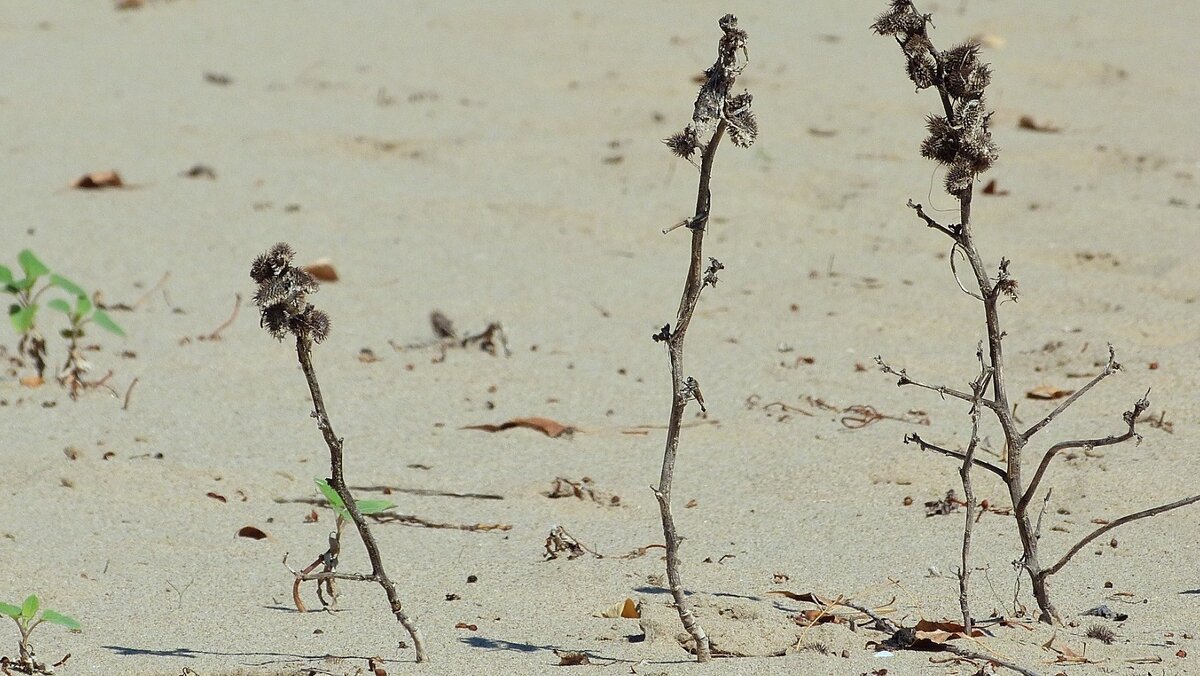     ЖК «Оазис» на Русской, 95 уже имел прецеденты по жалобам в мэрию, Роспотребнадзор и прокуратуру Приморского края. Все, от отделки и до благоустройства территории «поздняковской» высотки вызывает возмущение у отдельных жителей города.
