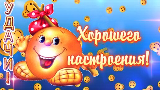 Немного юмора. Хорошего настроения!