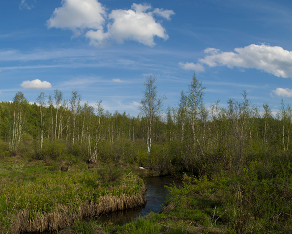 В районе пос. Родниковый. Фото из открытых источников Яндекс.Картинки