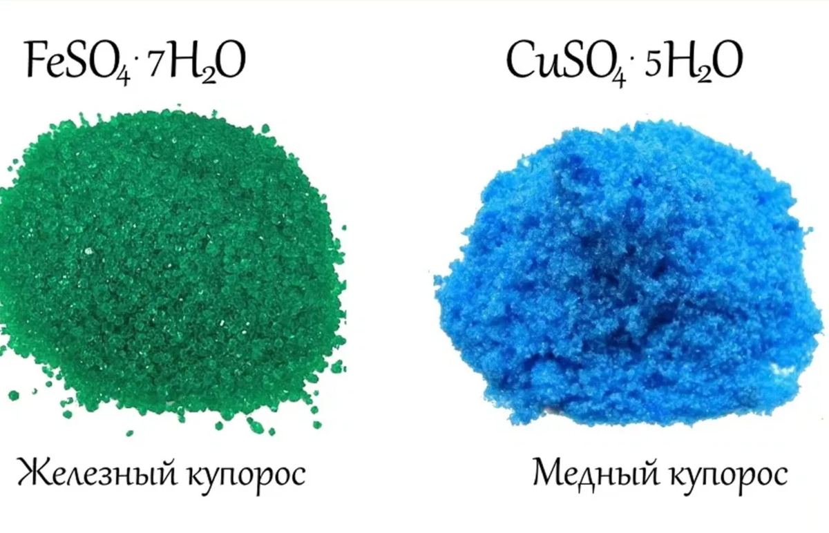 Купорос осенью какой лучше