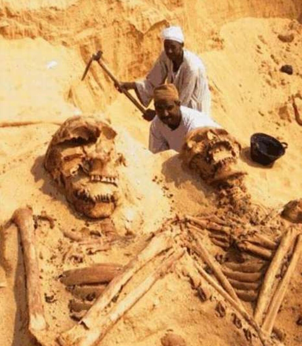 Адиты достигали 60-метрового роста.
Источник фото: https://cont.ws/uploads/pic/2017/12/zapreshennaya-arheologiya-zrqhxo.jpg