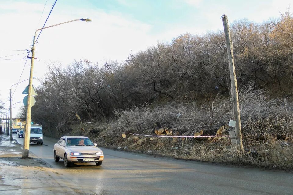 Участок на улице Мамонтова, 145 и его окрестности Источник: Виталий Барабаш