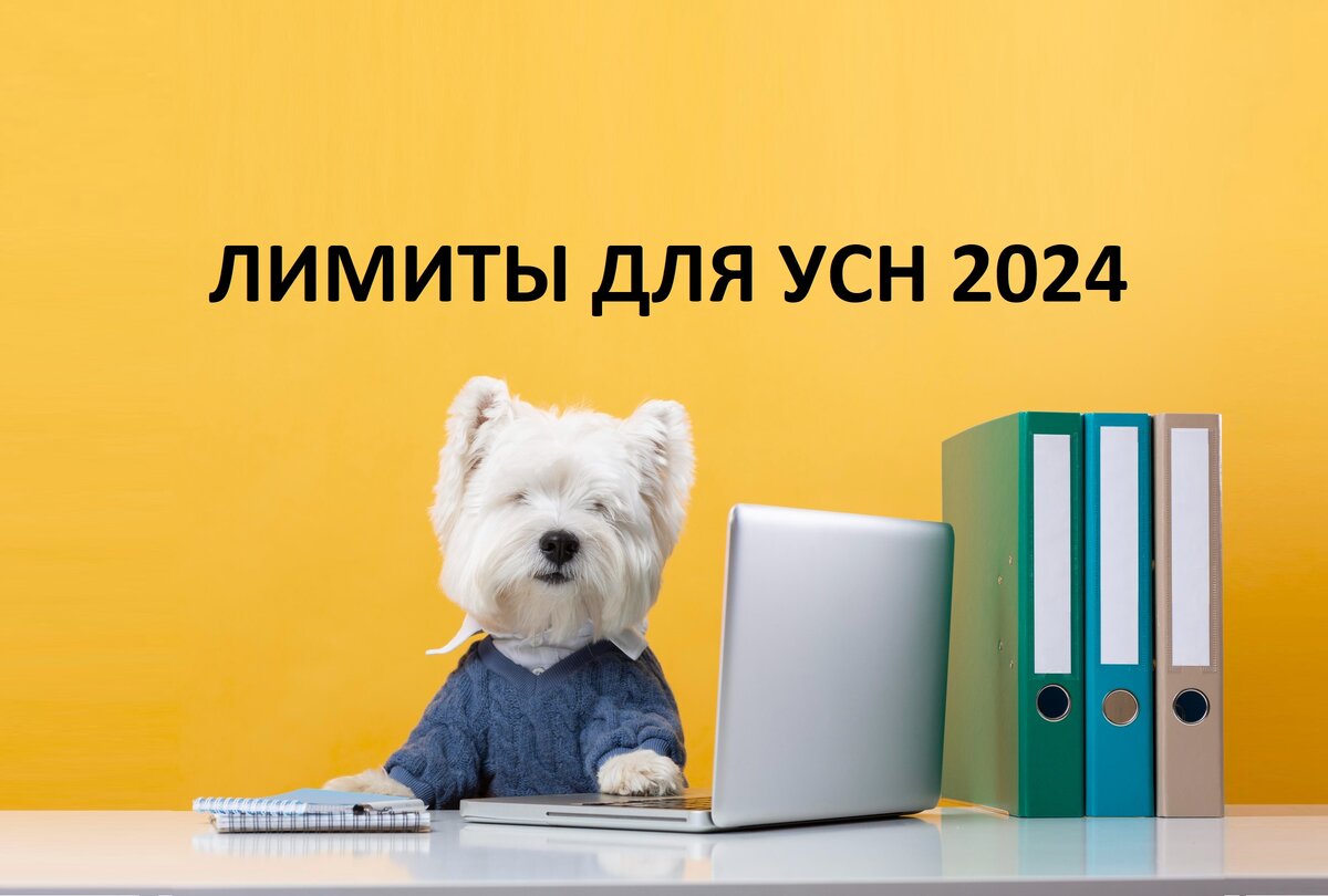 Фото: @freepik|www.freepik.com