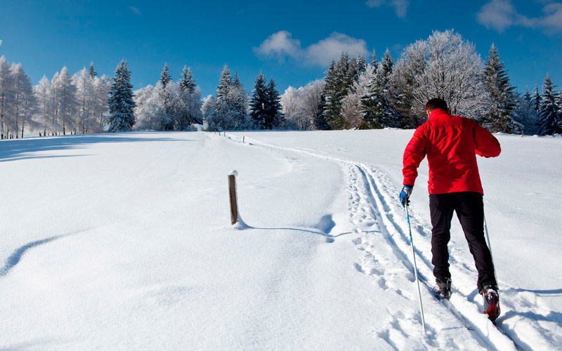 Из открытых интернет источников.