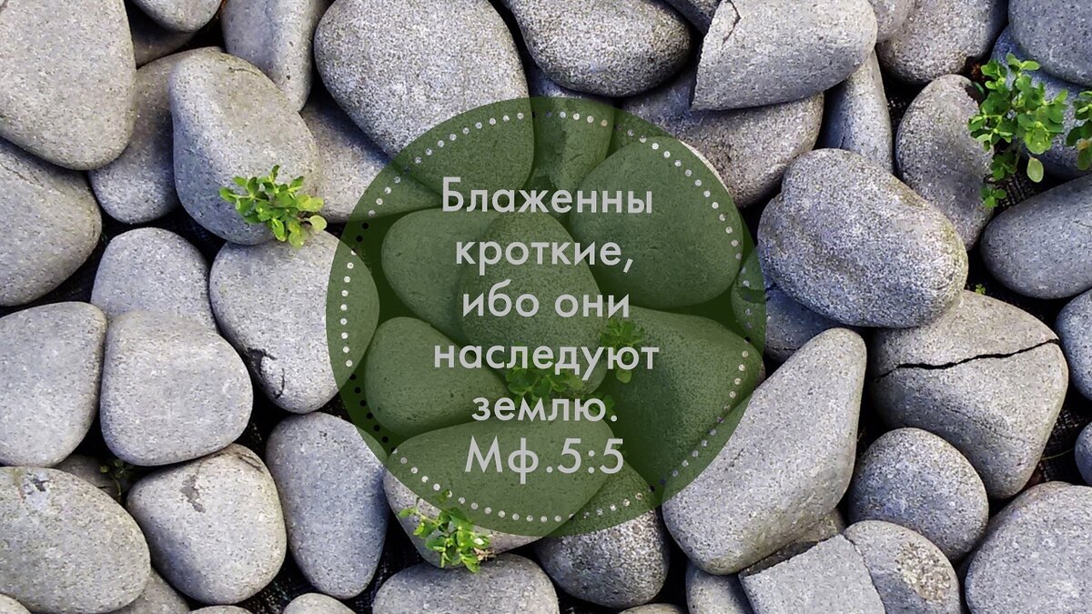 Из открытых источников Яндекса.