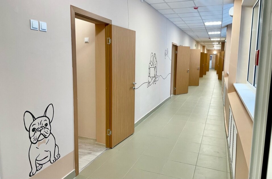 Листайте вправо, чтобы увидеть больше изображений