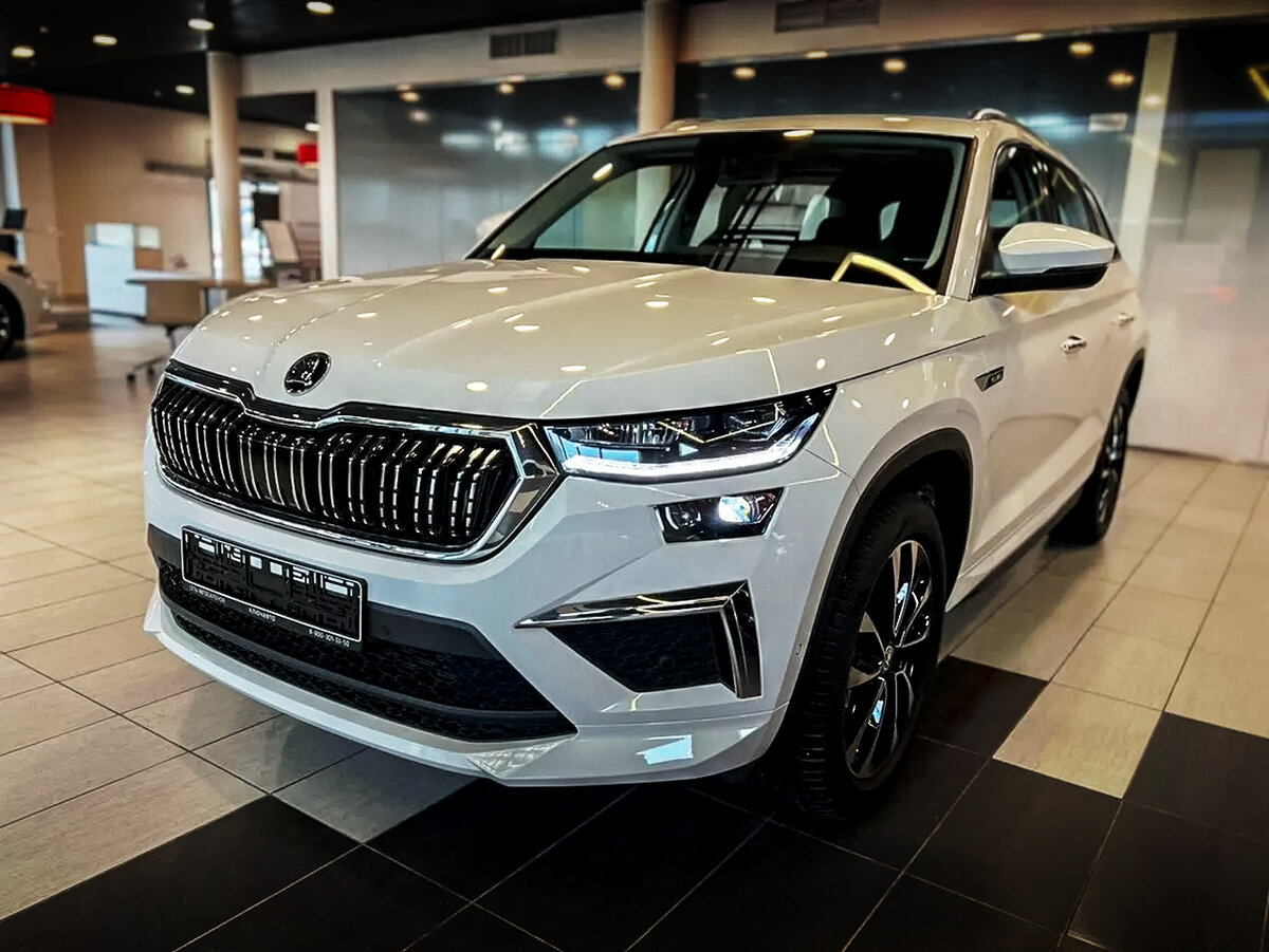 Новые Skoda и VW - самые популярные авто, привезенные параллельным путем в Россию