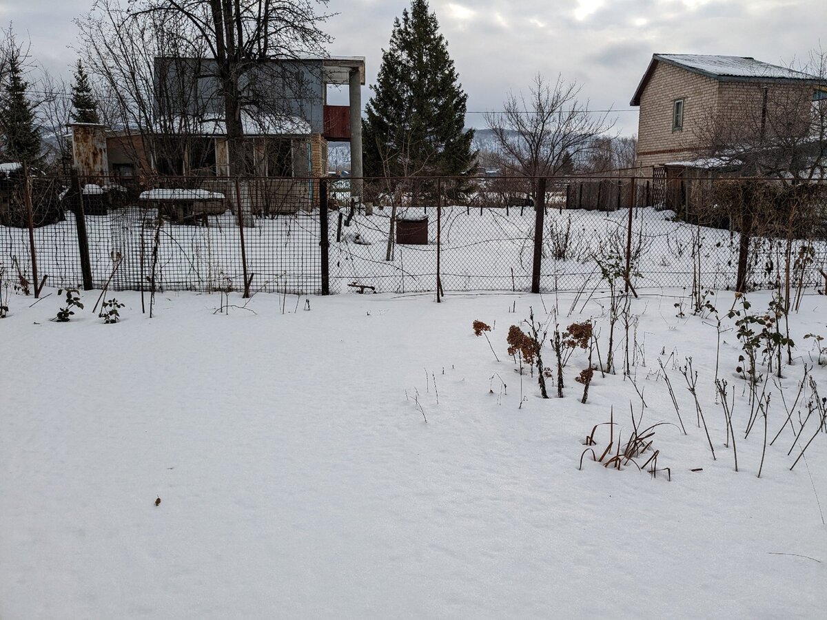 Тот случай, когда душа садовода перед первыми морозами абсолютно спокойна