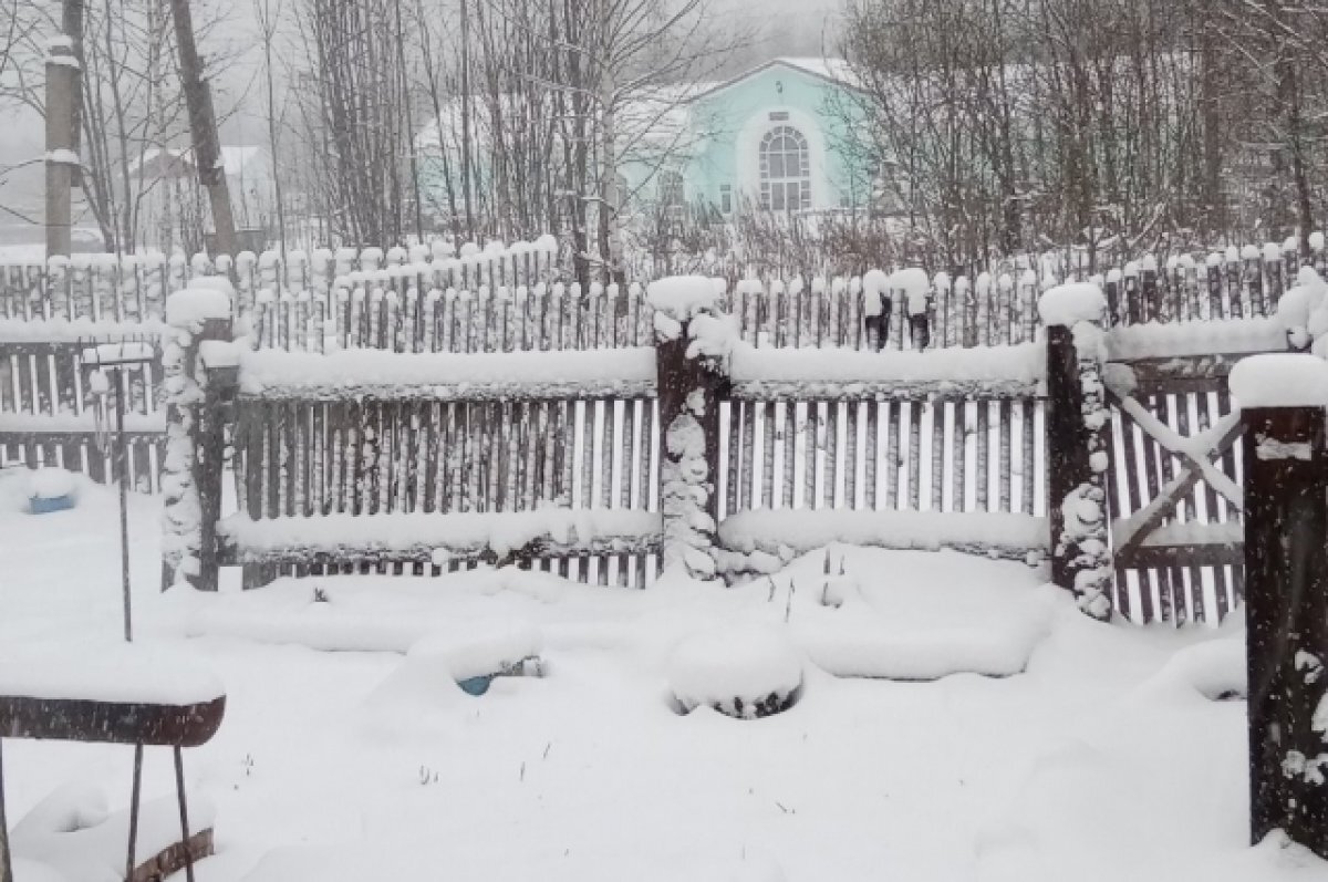    Дорожки местным жителям приходится протаптывать самим.