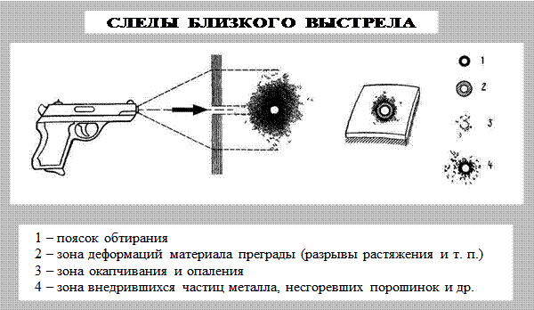 Выстрелы эхо. Огнестрельная рана поясок осаднения. Поясок осаднения криминалистика. ШТАНЦМАРКА баллистика. ШТАНЦМАРКА от охотничьего ружья.