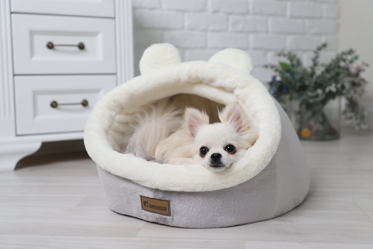 На фото — дом «Медвежонок», Gamma.