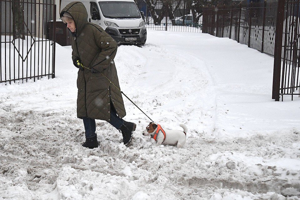 Сниженный снегопад.