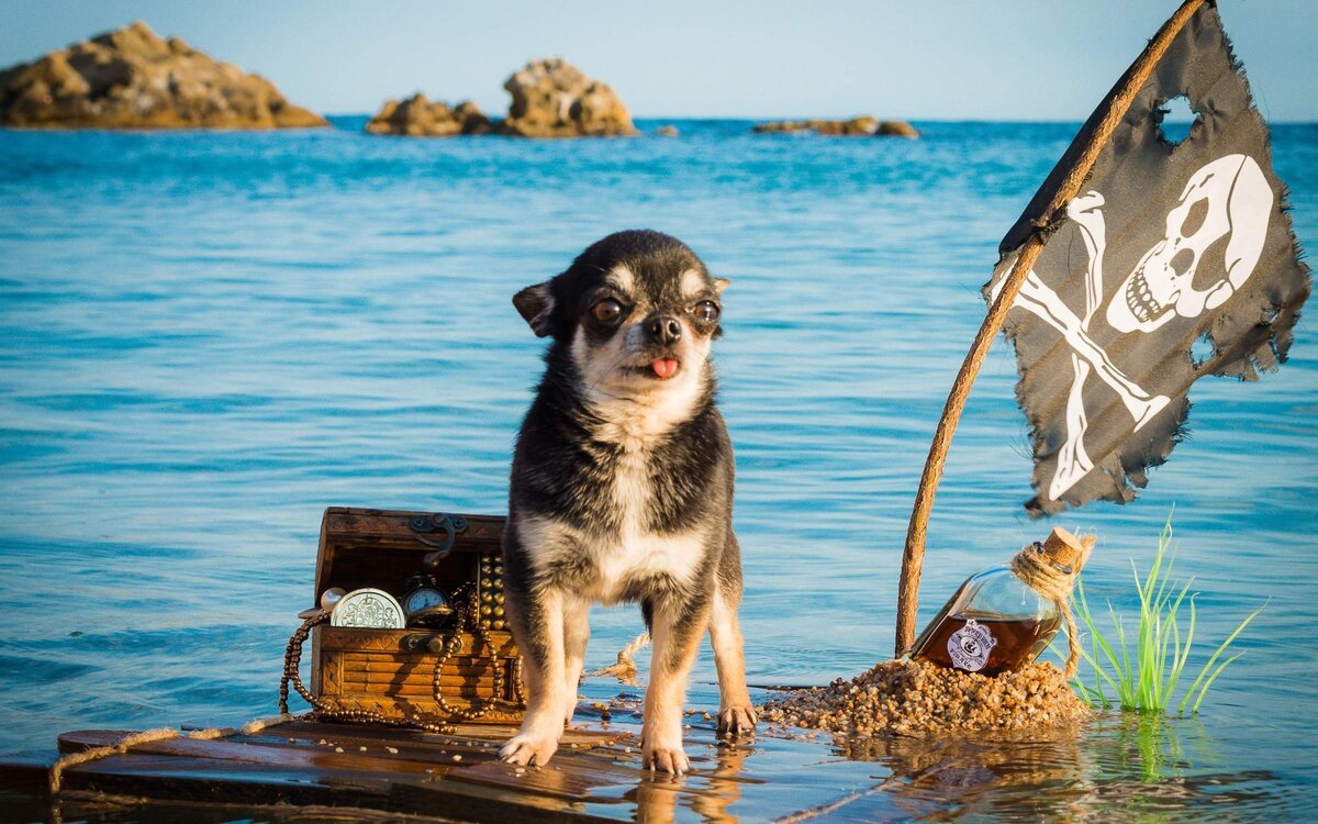 Из открытого источника