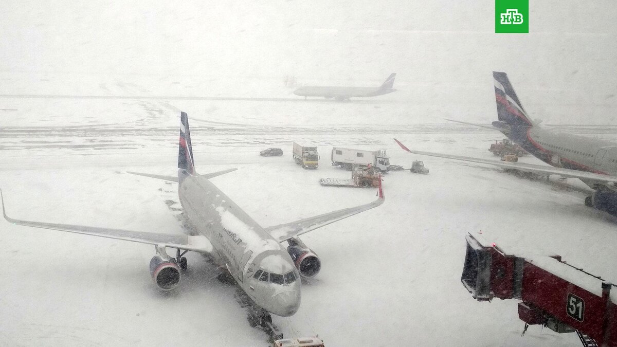    Фото: РИА Новости © 2023, Кирилл Каллиников