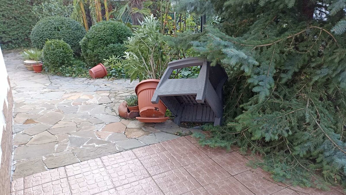 Перевернутые ночью горшки