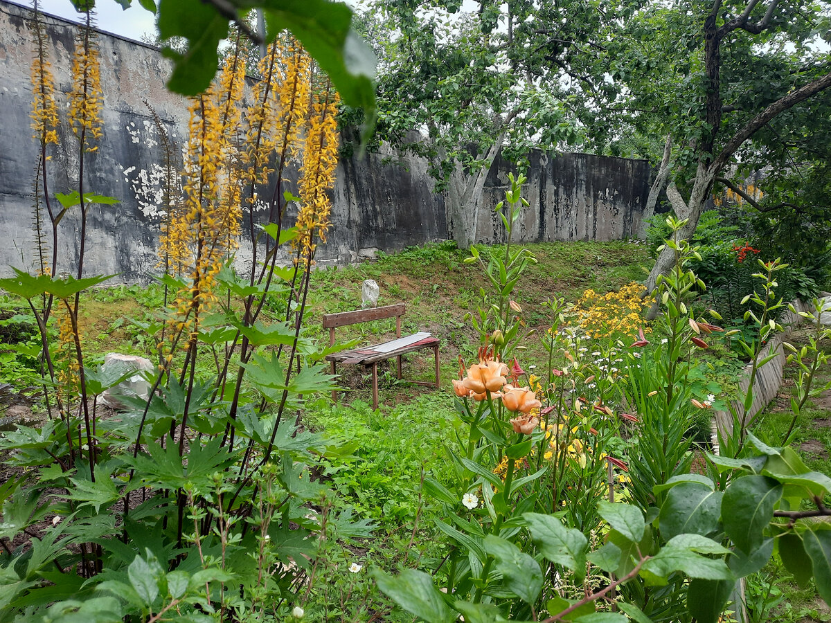 нынче летом