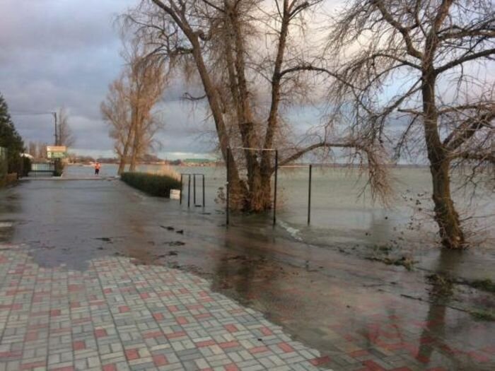 Источник фото: Жесть Ростова